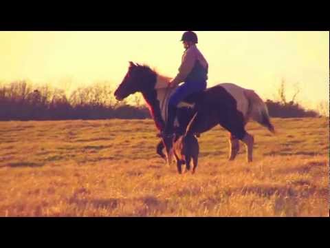 Equitation is our paradise