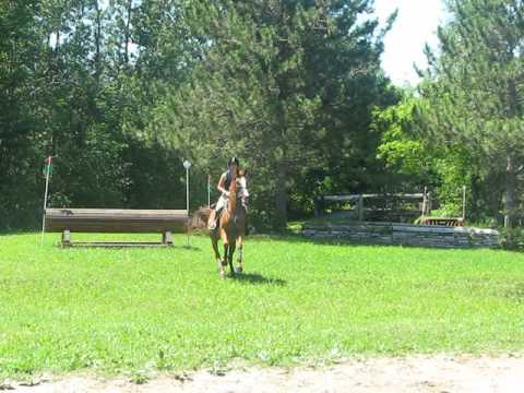 entrainement 2011
