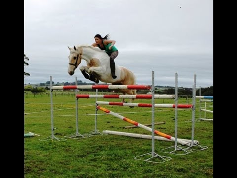 Tout simplement sublime ! Un gros bravo pour cette fille et son cheval !