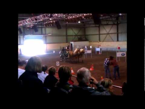 R&eacute;sum&eacute; fds vendredi : avec les haflingers, samedi : salon du cheval, dimanche : l'&eacute;curie ou je travaille