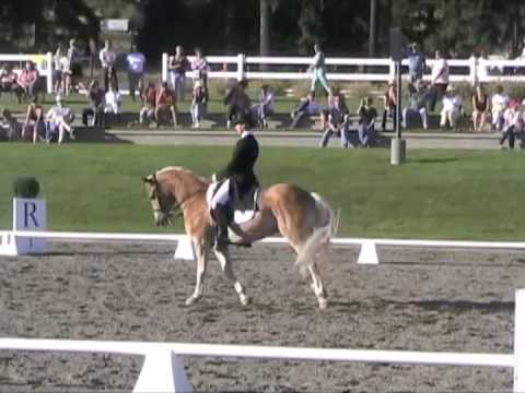Super, surtout pour un haflinger !
