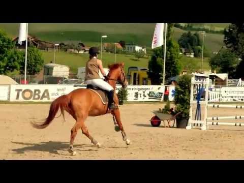 Notre concours , pas de critique svp ! merci