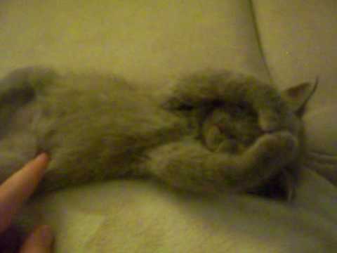 So cute