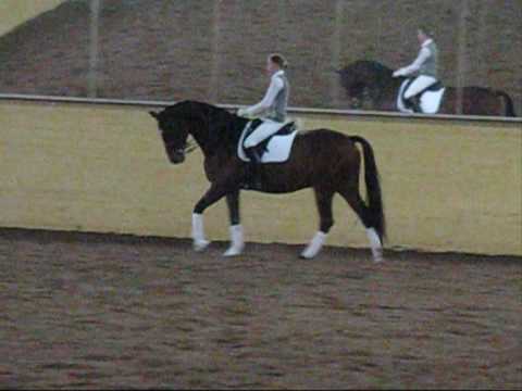 FEI junior freestyle/Kur. Wow ! Elle est bonne !