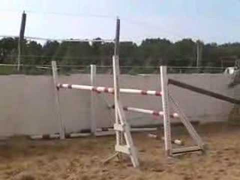hop un grand saut (juste je ne connais pas ce cheval j'ai juste pris sur youtube)
