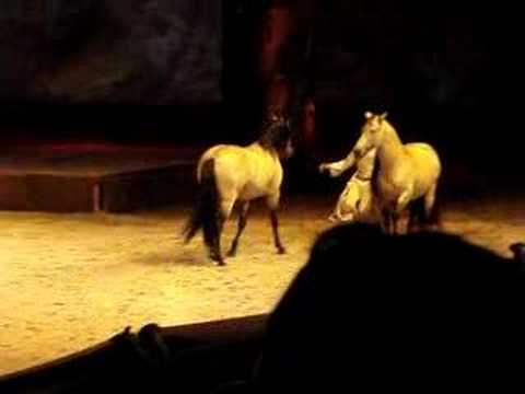 cavalia !