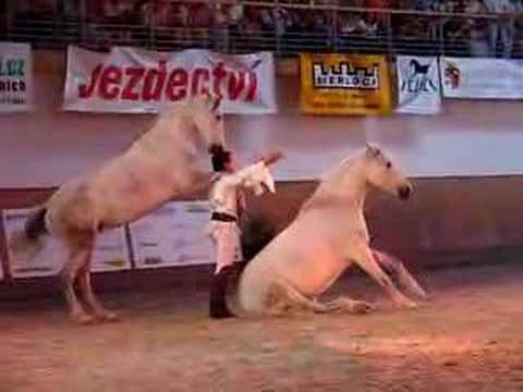jean-francoi pignion !
