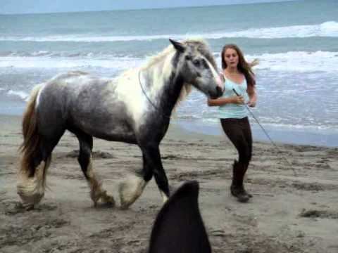 Wow , elle a telement une belle complicité avec son cheval