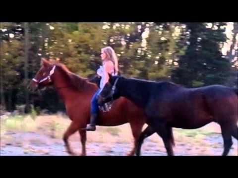 mon cheval et moi