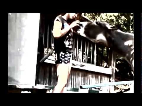 Peluche et moi ... Un histoire qui dure depuis 5ans