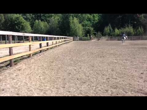 Debut cession a la jambe au trot !