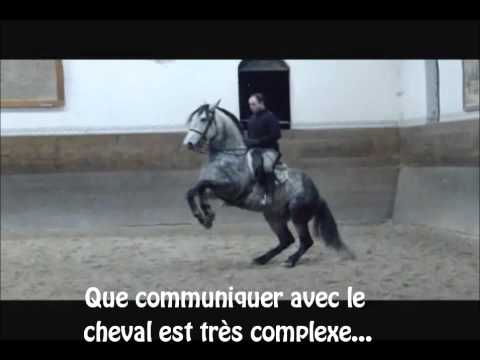 Voici une vidéo de Youtube que j'apprécie particulièrement :)