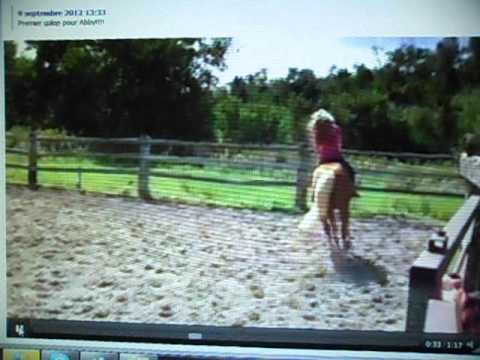 Premier galop pour Abby
