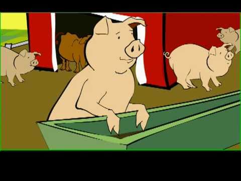 À VOIR ABSOLUMENT!(en anglais, mais les images parlent d'elles même!)video sur la surproduction.