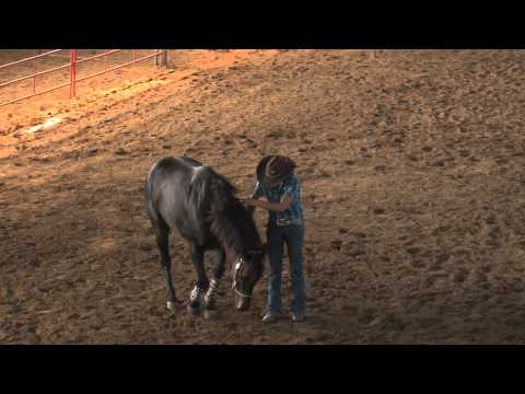 défi horsemanship 3ème édition.