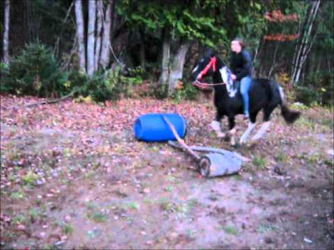Première petite séance de saut a cru a vie pour moi :) commentaire constructif sur ma position et veuillez prendre en...