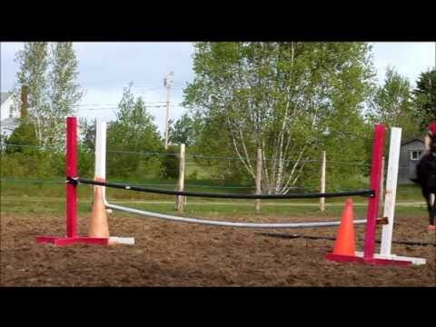 Moi et ma jument se pratiquant au saut au mois de mai/juin..