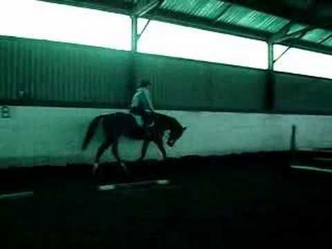Mon cheval en feu!