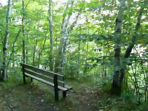 En trail avec Phénix et mes 2 chiens, juillet 2011