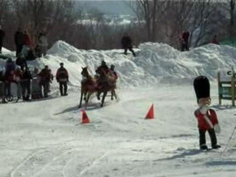 Attelage en double au Derby...champion Canadien...meneur Eugen Hug!