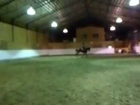 Ginger dec 2012 Saut 3'9