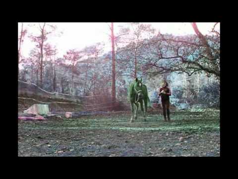 J'ai un jour rêvé, et désormais c'est ma réalité; je t'aime Queen