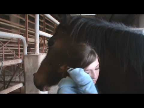 vid&eacute;o qui me fait brailler ! :-(  ses full cute !... regarder jusquau bout !
