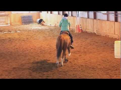 Karine et son cheval baril et bitless
