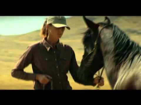 Fundamentals of Horsemanship - AQHA en partenariat avec La Cense Montana: le Reculons avec légèreté