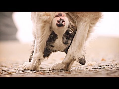 C'est fou comment il a du travail dans ce vidéo :O C'est vraiment magnifique tous se qu'ils fond !