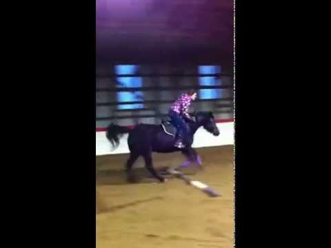 mon vieux canadien en saut d'obstacle