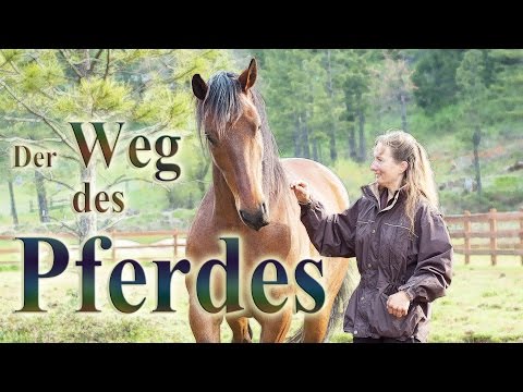 docu complet