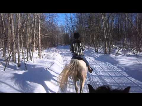 Galop dans les trails avec ma soeur !