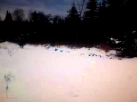 Galop avec Daizz l'hiver passé