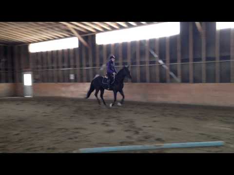 un petit saut !