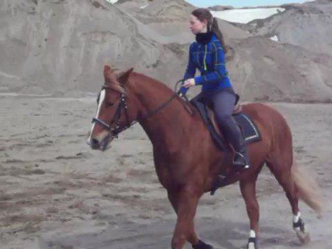 Entrainement sur ma jument Brazile dans le pite de sable le temps que mon man&egrave;ge soit praticable. Elle va beaucoup...