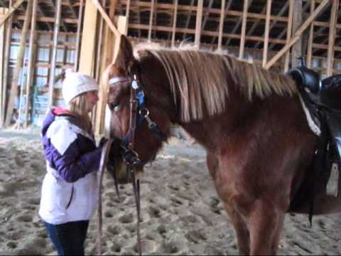 On oublie jamais son premier Cheval , un autre petit vidéo de notre évolution jusqu'à date :) !