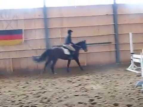Mini parcours de saut a ma clinic!