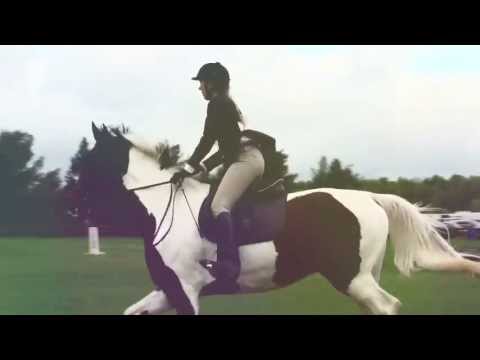 Premier Show - Pépinière 2013 - Donnez moi vos conseils! :) Merci et désolé mon père s'est perdu durant mon parcours!