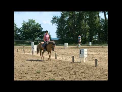 moi et mon poney de concours en 2011 paloma :)