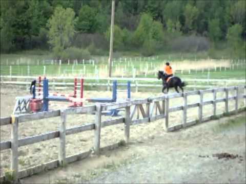 La partie saut de mon cours :)  (Et oui j'ai pulvérisé l'obstacle vert avec mes orteilles)