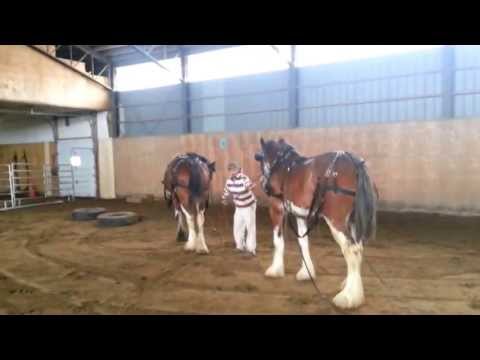 Lorie et Jade première fois en flèche pour m'amuser