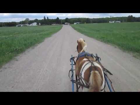 Rando en attelage avec Turbo !