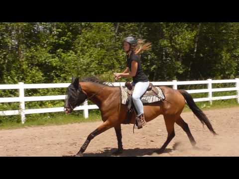 Micro qui me donne un super beau galop dehors ! Je suis super fière de lui :)