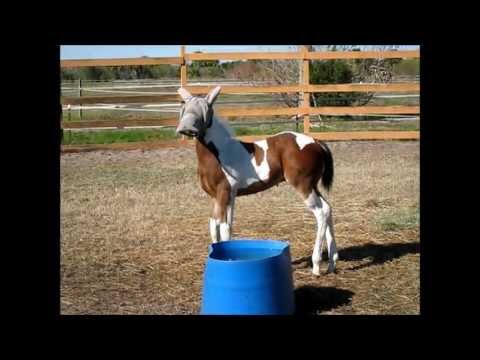 Hahahha J'ai trouver ça vraiment cute! Ya une première fois à tout!