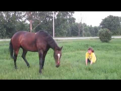 Ma petite chute sur un saut a cru ahaha !