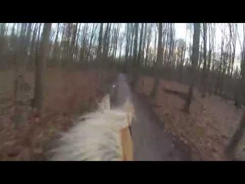 Galop dans les bois!