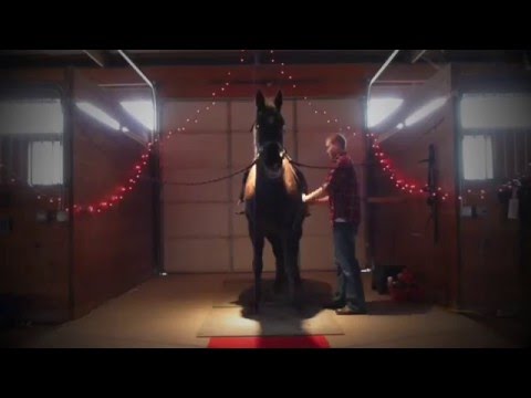 C'est trop mignon ! J'veux un chum comme ça ! La video est longue, mais c trop bien !