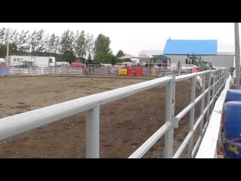 Tour de ring avec Flame 1e place 2D 8.806