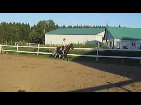 Premier cours de saut. Commentaires sur ma positions etc sont très appréciés.Désoler pour la qualité.